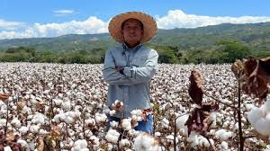 El uso de fibras naturales para que la moda se convierta en una industria sostenible