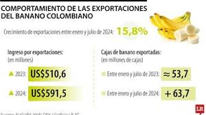 Exportaciones de banano colombiano registraron un crecimiento de 15,8% en 2024
