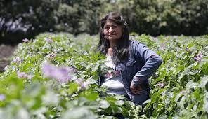 De los casi 800.000 productores que residen en el campo, 36,7% son mujeres rurales