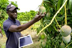 IICA y un estudio sobre los jóvenes y mujeres rurales y las tecnologías digitales en la agricultura familiar