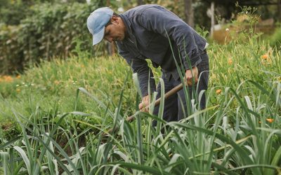 Gobierno del Cambio habilita más de $54.100 millones para que familias campesinas protejan sus inversiones y cultivos ante fenómenos naturales y climáticos