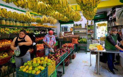 Productores paisas negocian en Madrid por mejores precios del banano exportado a la Unión Europea