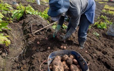 Empleo en el sector rural creció en septiembre: hubo 89.000 trabajadores más