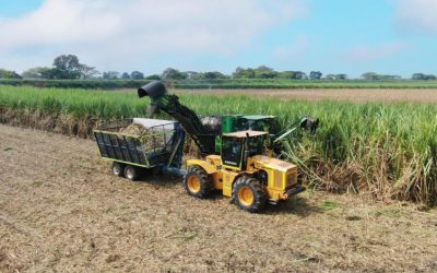 Incauca moderniza su cosecha y elimina la quema de caña