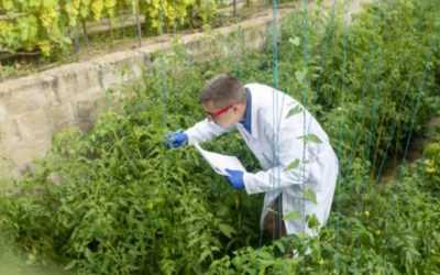 Restricción de tecnologías químicas, una amenaza para la seguridad alimentaria