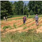 La tecnología del blockchain puede aumentar 45% de los ingresos de los agricultores