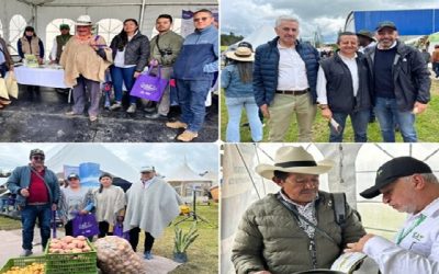 El cultivo de papa, clave para la seguridad alimentaria, hambre cero y fortalecimiento del campo