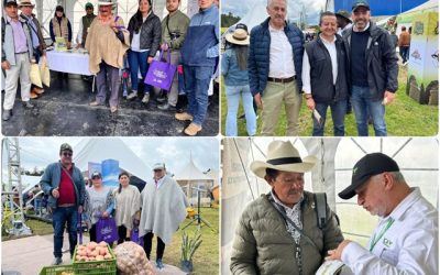 El cultivo de papa, clave para la seguridad alimentaria, hambre cero y fortalecimiento del campo