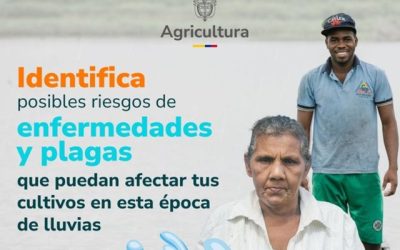 Señor productor agropecuario alerta por las lluvias, aplique las recomendaciones del ICA para disminuir la afectación en cultivos y animales.