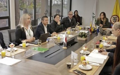 Nuevas regiones aguacateras de Colombia se abren paso en el mercado japonés