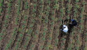 La Procuraduría advierte que la actualización del catastro multipropósito no avanza