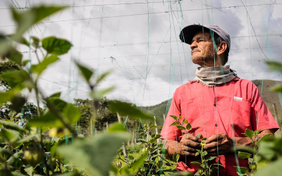 El sector agropecuario, una de las actividades económicas que más empleo generó en septiembre en el país