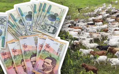 ¿Qué tanto se puede endeudar en el negocio ganadero sin comprometer la rentabilidad?