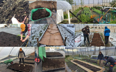 La técnica de no excavación y la conservación de suelos