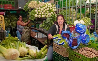 En octubre, los precios de algunas hortalizas y frutas frescas disminuyeron más del 20 %