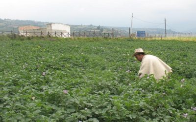 Menos sombras en agro que en salud y comercio exterior