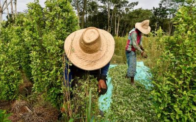 Agricultura regenerativa, la oportunidad para mejorar la productividad del campo