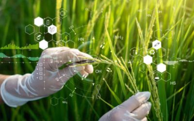 ¿En qué se enfoca el sector de ‘agrifoodtech’y por qué Colombia tiene tanto potencial?