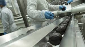 Entre enero y septiembre las exportaciones de aguacate Hass se incrementaron 15%