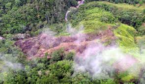 La Unión Europea aprueba aplazamiento de 12 meses de la ley sobre deforestación