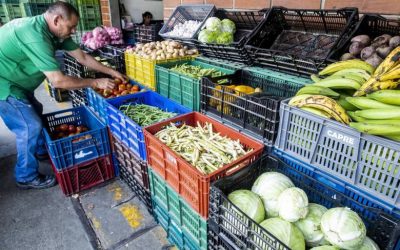 Estos son los alimentos que más han subido y bajado de precio en la temporada de fin de año