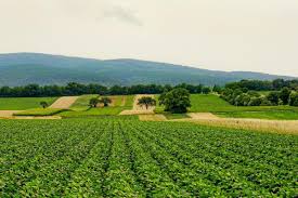 Un prototipo produce un ingrediente fertilizante esencial a partir del aire, lo que reduce las emisiones de carbono