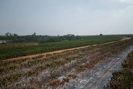 Estrés hídrico por agricultura: impacto y posibles soluciones ante esta problemática