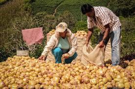 Críticas por restricciones agrícolas en Zonas de Protección para Producción de Alimentos