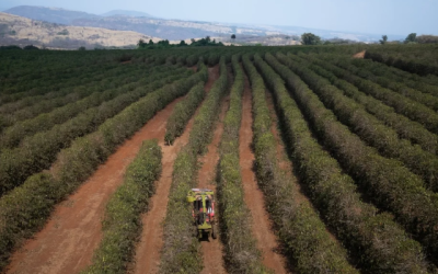 Conozca cómo va la revolución tecnológica de la agricultura de precisión en Colombia