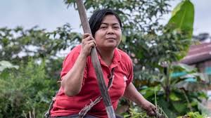 La mujer rural, un ejemplo de templanza y dedicación para el sector agricultor colombiano