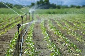 MinAgricultura lanza incentivo para pequeños productores que inviertan en riego