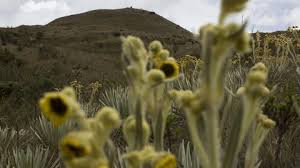 Colombia rechaza acuerdos de deuda por naturaleza por temor a las calificaciones