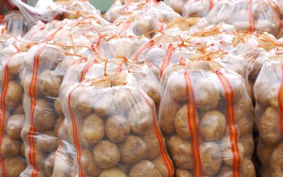 Conpapa Announces Historic Launch of Mexican Potato Exports to the United States