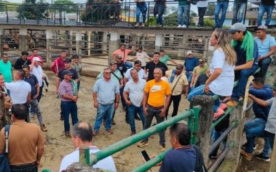 El ICA realiza por primera vez en el Cauca el Curso de Bienestar Animal para transportadores de animales en pie