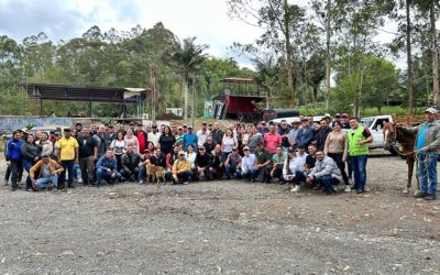El Quindío continúa fortaleciendo el bienestar animal con cursos a transportadores de animales en pie