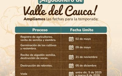 Se extendieron las fechas de la temporada algodonera en el Valle del Cauca.