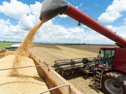 Importaciones chinas de soja en marzo alcanzan su menor nivel en 17 años por temor a aranceles