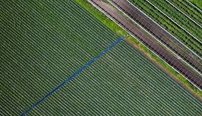 Conozca cuáles son las tecnologías que actualmente lideran en el sector agricultor