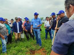 La gestión del suelo y manejo nutricional de bovinos como alternativa para mejorar sistemas productivos de pequeños productores en vista hermosa