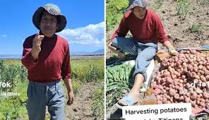 El agricultor aimara que sorprende con su excelente dominio del inglés y es viral en TikTok