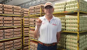 Así será el futuro de la avicultura en el país con los huevos sostenibles; cómo se producen