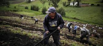 Tras la resolución de las Appas en Sopó, surgen diferentes reacciones en los sectores agro