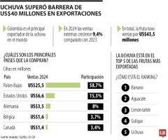La uchuva superó US$43 millones en exportaciones, creció cerca de 10% sus ventas