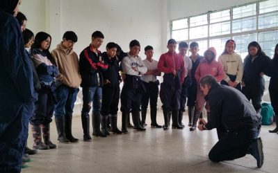 Red lechera del Cauca y Colegios Sostenibles, alianza estratégica por el futuro agropecuario y la seguridad alimentaria