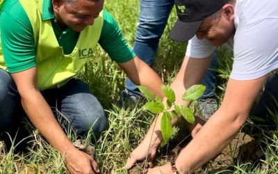 Celebración del Día del Árbol: El ICA, comprometido con un ambiente más sano