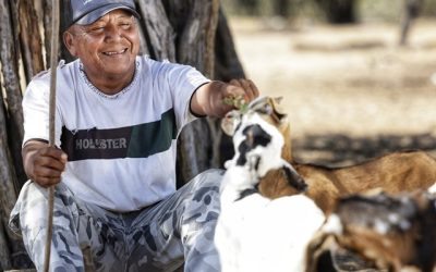 El ICA levantó la emergencia sanitaria por brote de carbunco bacteridiano en La Guajira