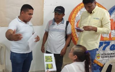 Mesa fitosanitaria en Guamal, Magdalena: articulación regional para la protección del sistema productivo de cítricos