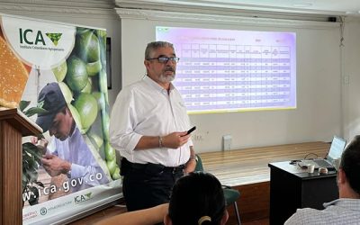 Quindío reactivó el trabajo técnico en musáceas como aporte a la Reforma Agraria y al desarrollo rural