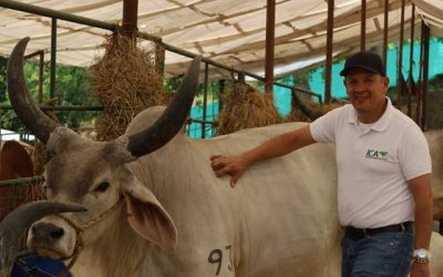 El ICA presente en la Feria Agropecuaria de Sincelejo: compromiso, conocimiento y cercanía con el campo