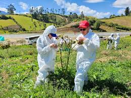AGROSAVIA fortalece la sanidad vegetal en Colombia con ciencia, talento y compromiso territorial